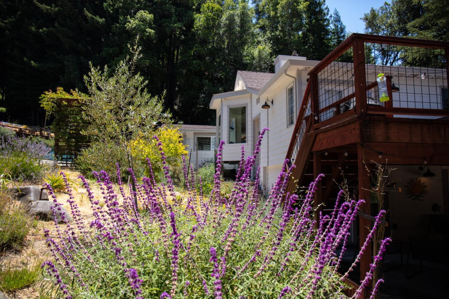 Detail Gallery Image 6 of 120 For 1003 Laurel Glen, Soquel,  CA 95073 - 5 Beds | 2 Baths