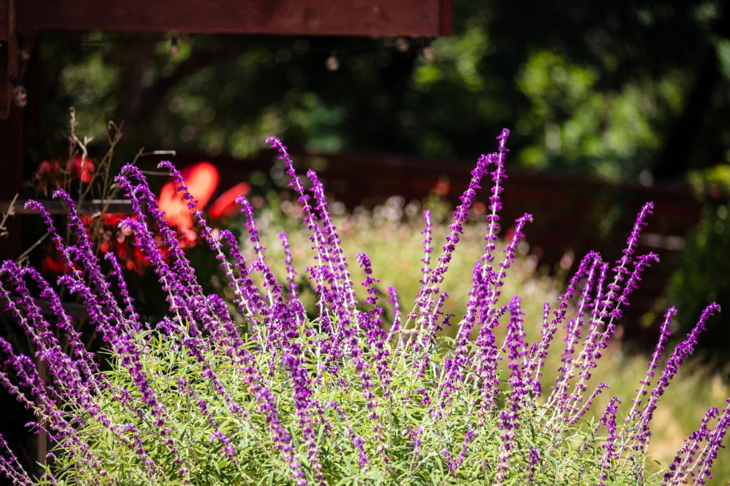 Detail Gallery Image 7 of 120 For 1003 Laurel Glen, Soquel,  CA 95073 - 5 Beds | 2 Baths