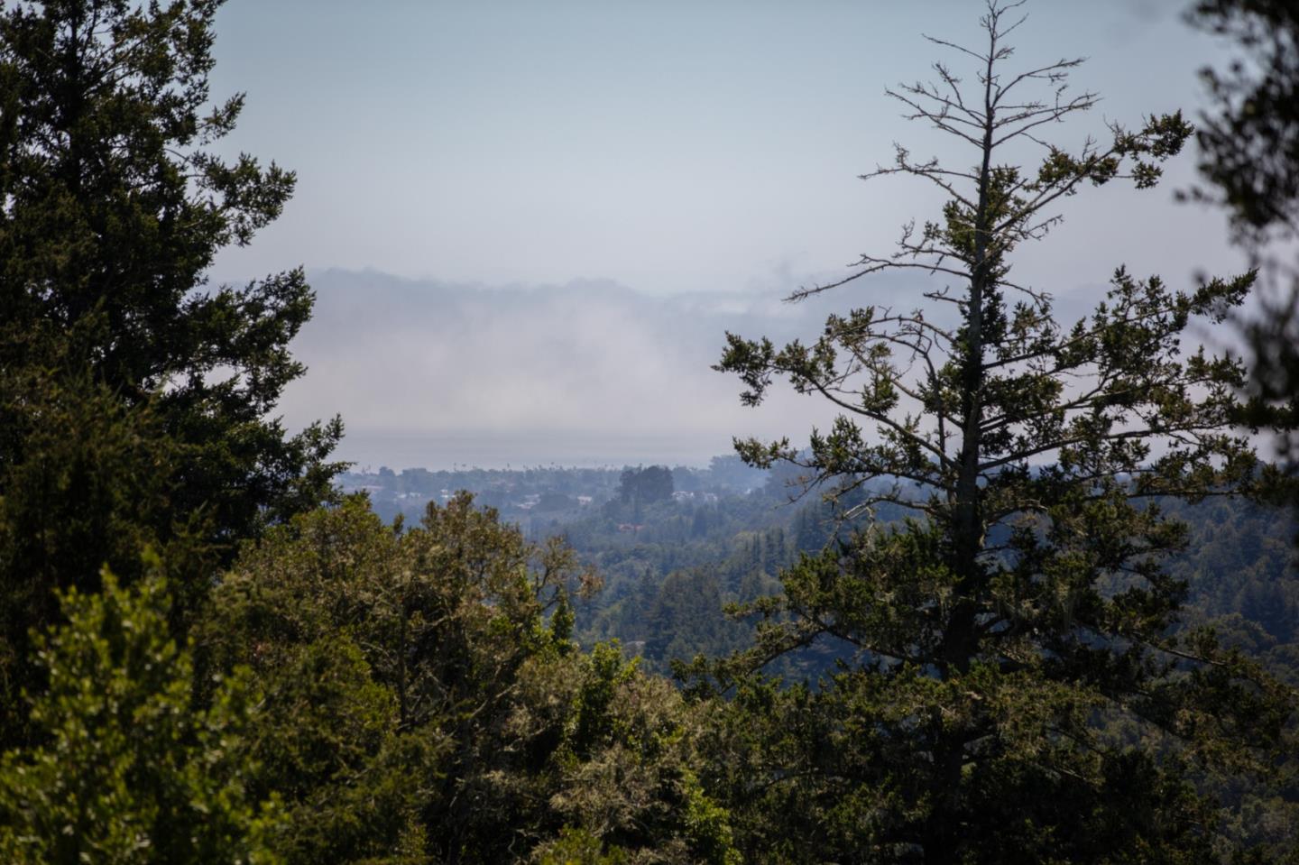 Detail Gallery Image 76 of 120 For 1003 Laurel Glen, Soquel,  CA 95073 - 5 Beds | 2 Baths