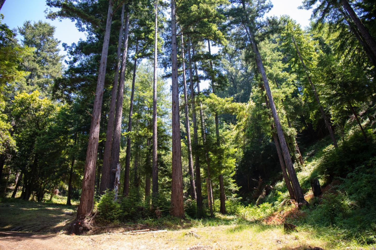 Detail Gallery Image 82 of 120 For 1003 Laurel Glen, Soquel,  CA 95073 - 5 Beds | 2 Baths