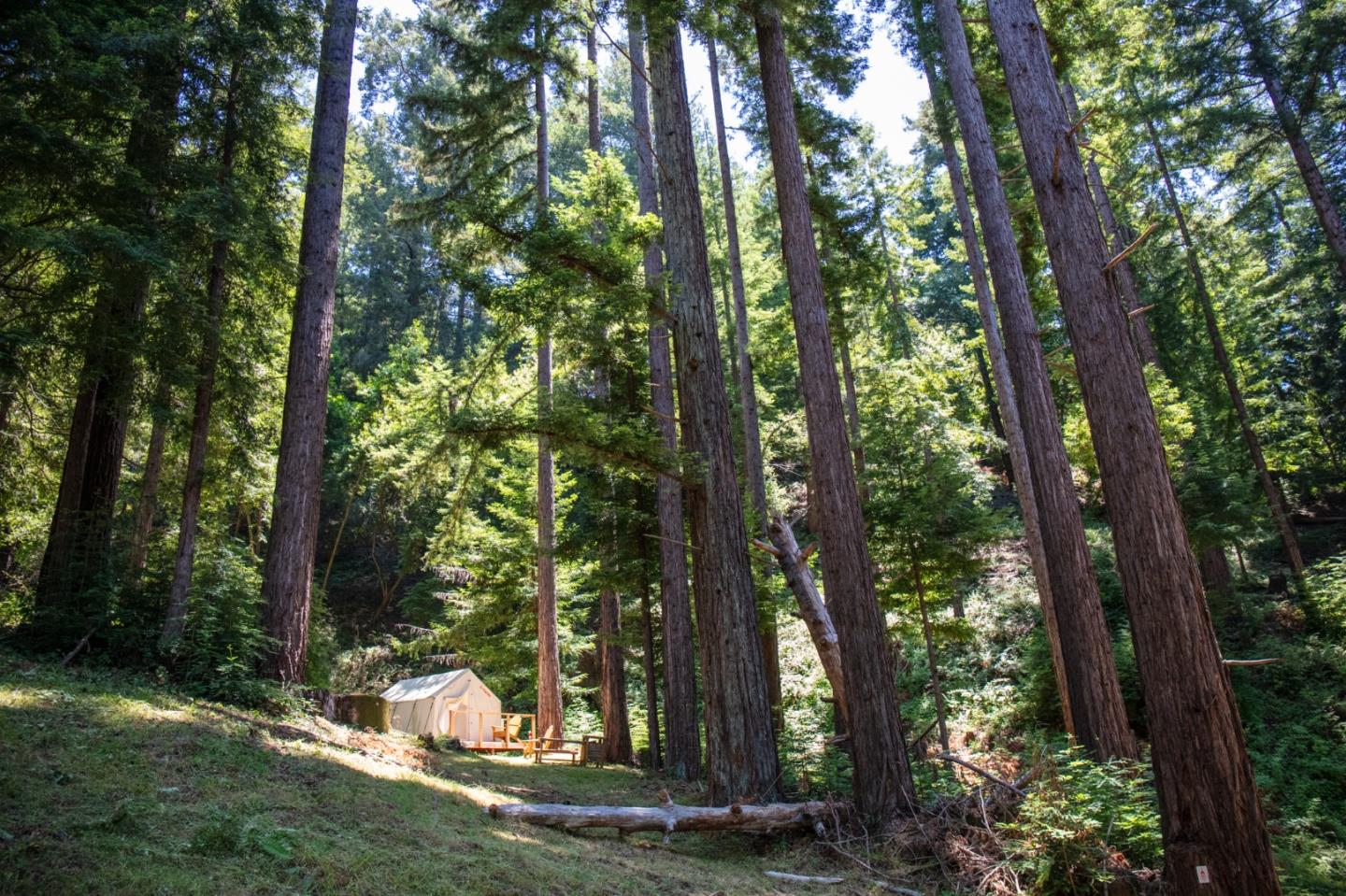 Detail Gallery Image 83 of 120 For 1003 Laurel Glen, Soquel,  CA 95073 - 5 Beds | 2 Baths
