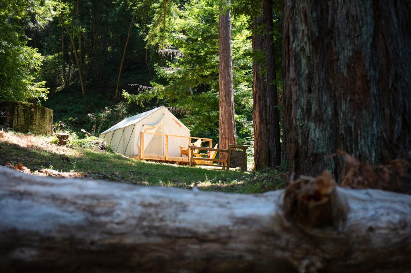 Detail Gallery Image 84 of 120 For 1003 Laurel Glen, Soquel,  CA 95073 - 5 Beds | 2 Baths