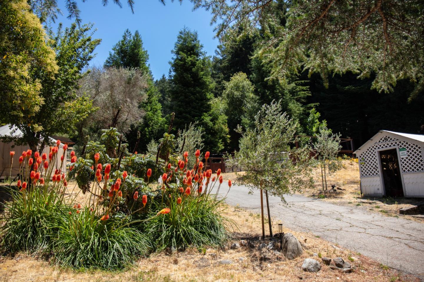 Detail Gallery Image 95 of 120 For 1003 Laurel Glen, Soquel,  CA 95073 - 5 Beds | 2 Baths