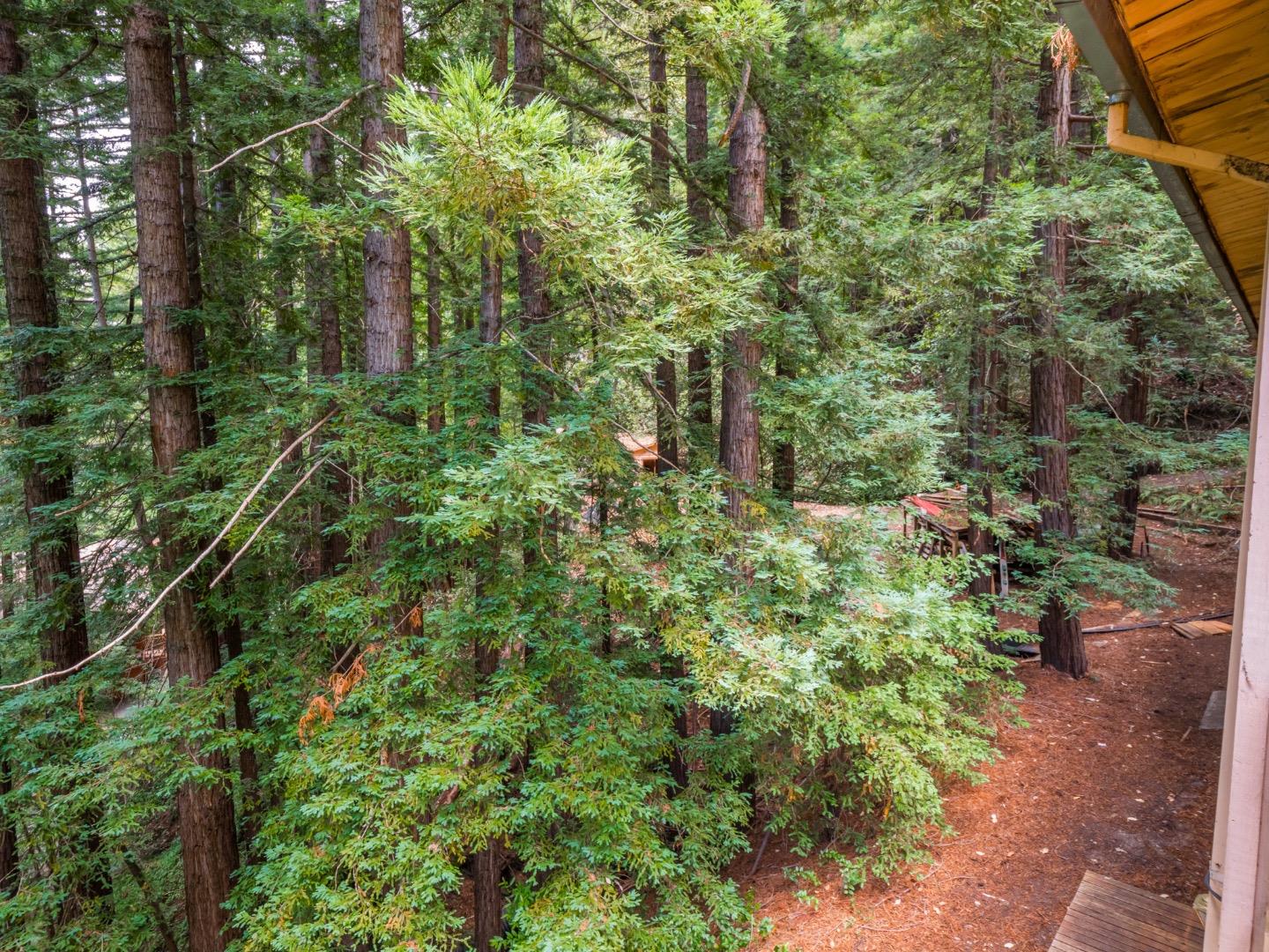 Detail Gallery Image 43 of 60 For 325 Woodland Dr, Scotts Valley,  CA 95066 - 5 Beds | 2 Baths
