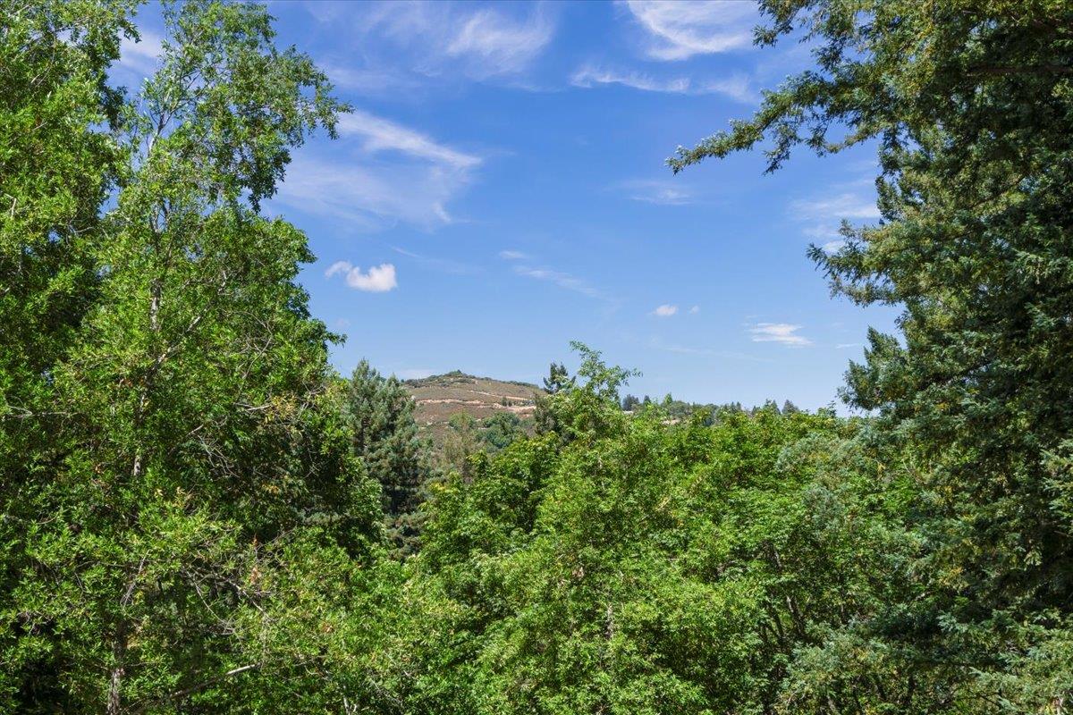 Detail Gallery Image 25 of 25 For 20246 Gist Rd, Los Gatos,  CA 95033 - 4 Beds | 2 Baths