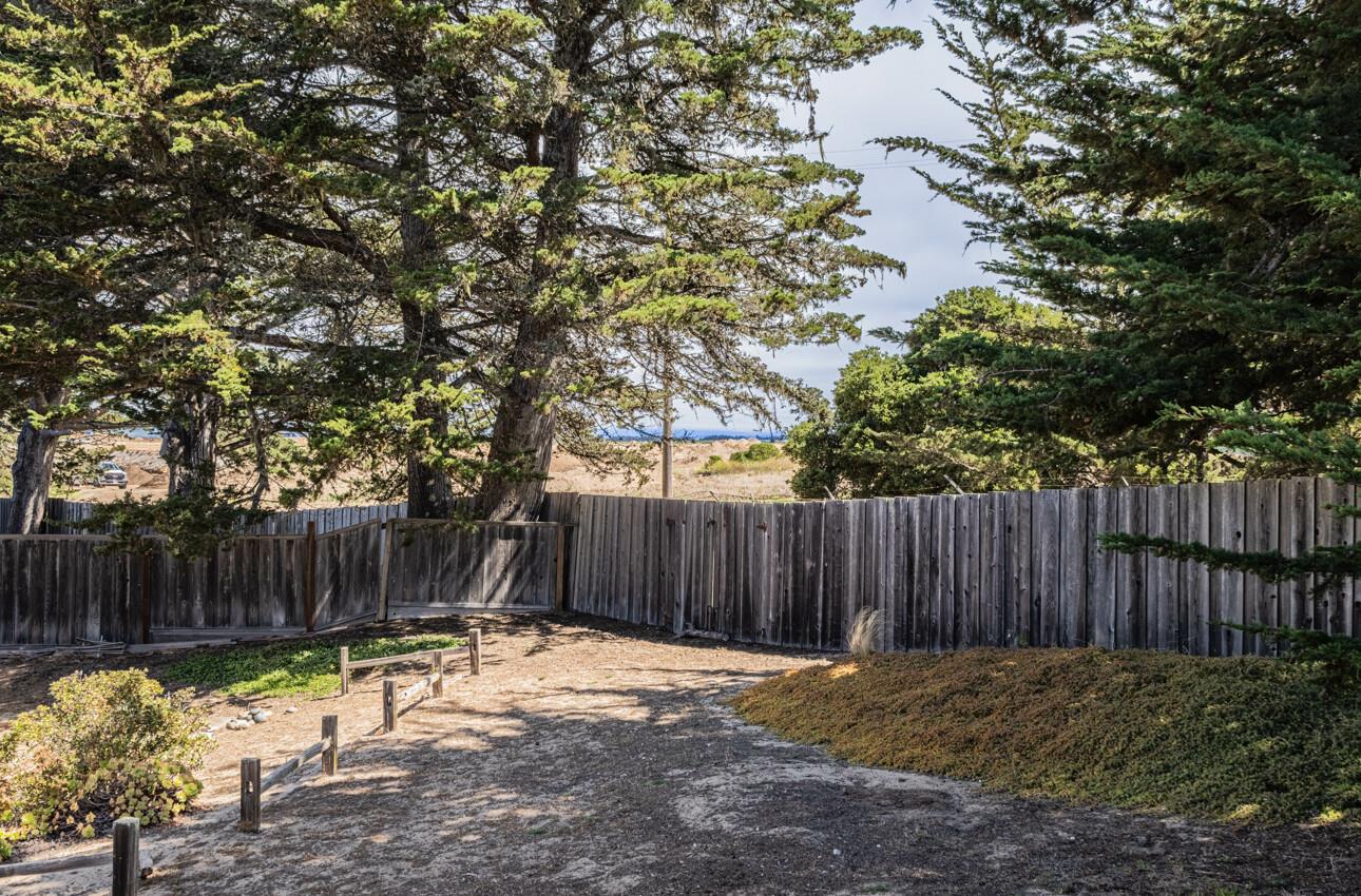 Detail Gallery Image 22 of 44 For 337 Quebrada Del Mar Rd, Marina,  CA 93933 - 4 Beds | 2/1 Baths