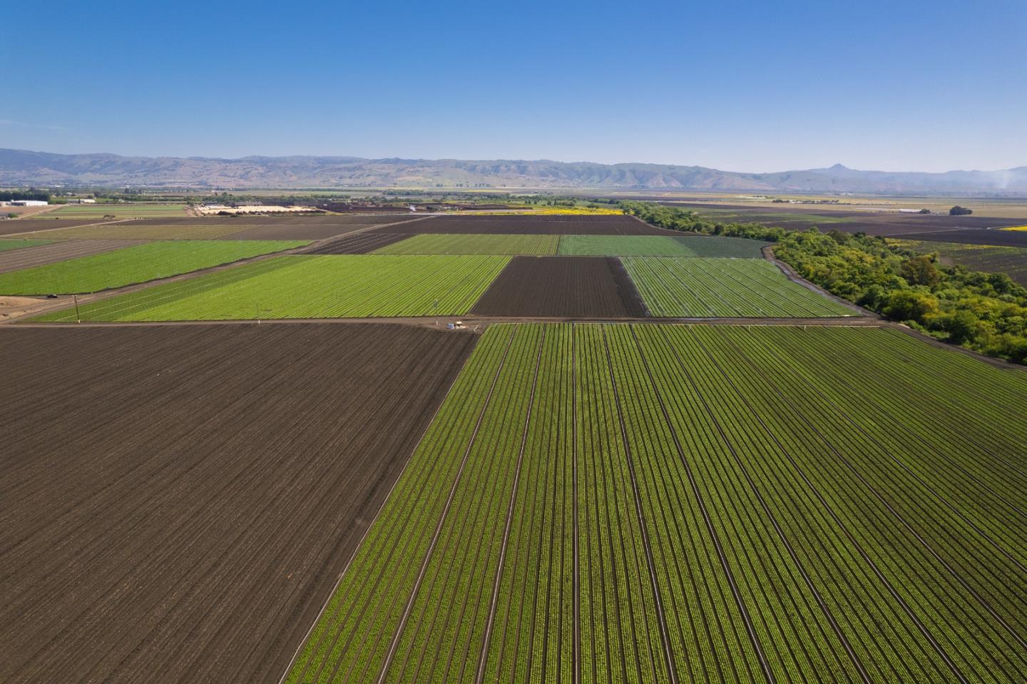 Detail Gallery Image 5 of 18 For 0 Highway 25, Gilroy,  CA 95020 - – Beds | – Baths