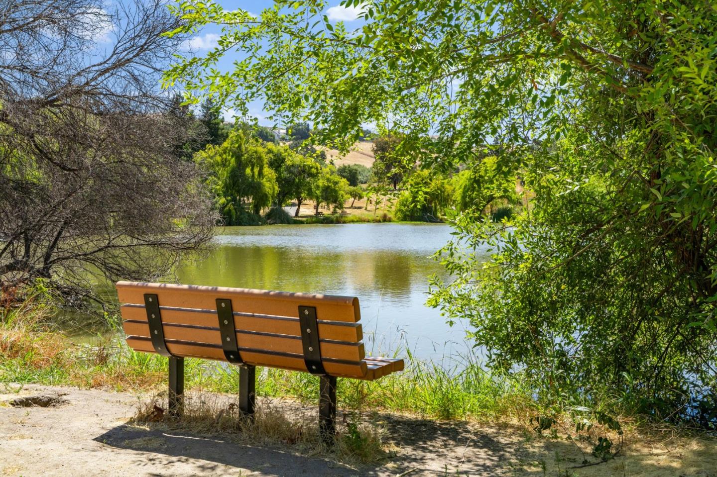 Detail Gallery Image 52 of 58 For 1584 Sonoma Dr, Milpitas,  CA 95035 - 4 Beds | 2 Baths