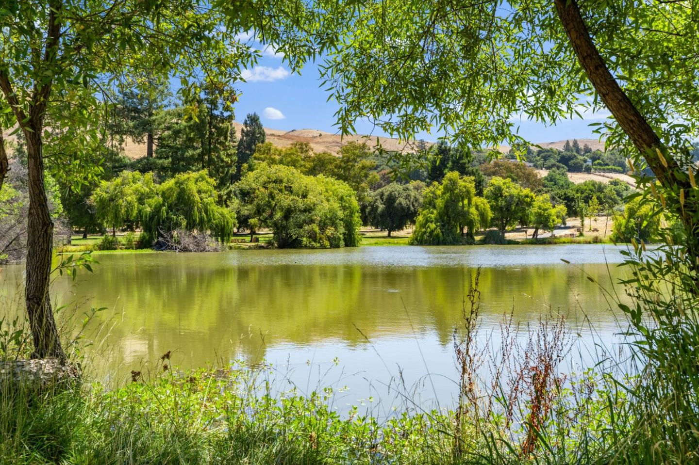 Detail Gallery Image 53 of 58 For 1584 Sonoma Dr, Milpitas,  CA 95035 - 4 Beds | 2 Baths