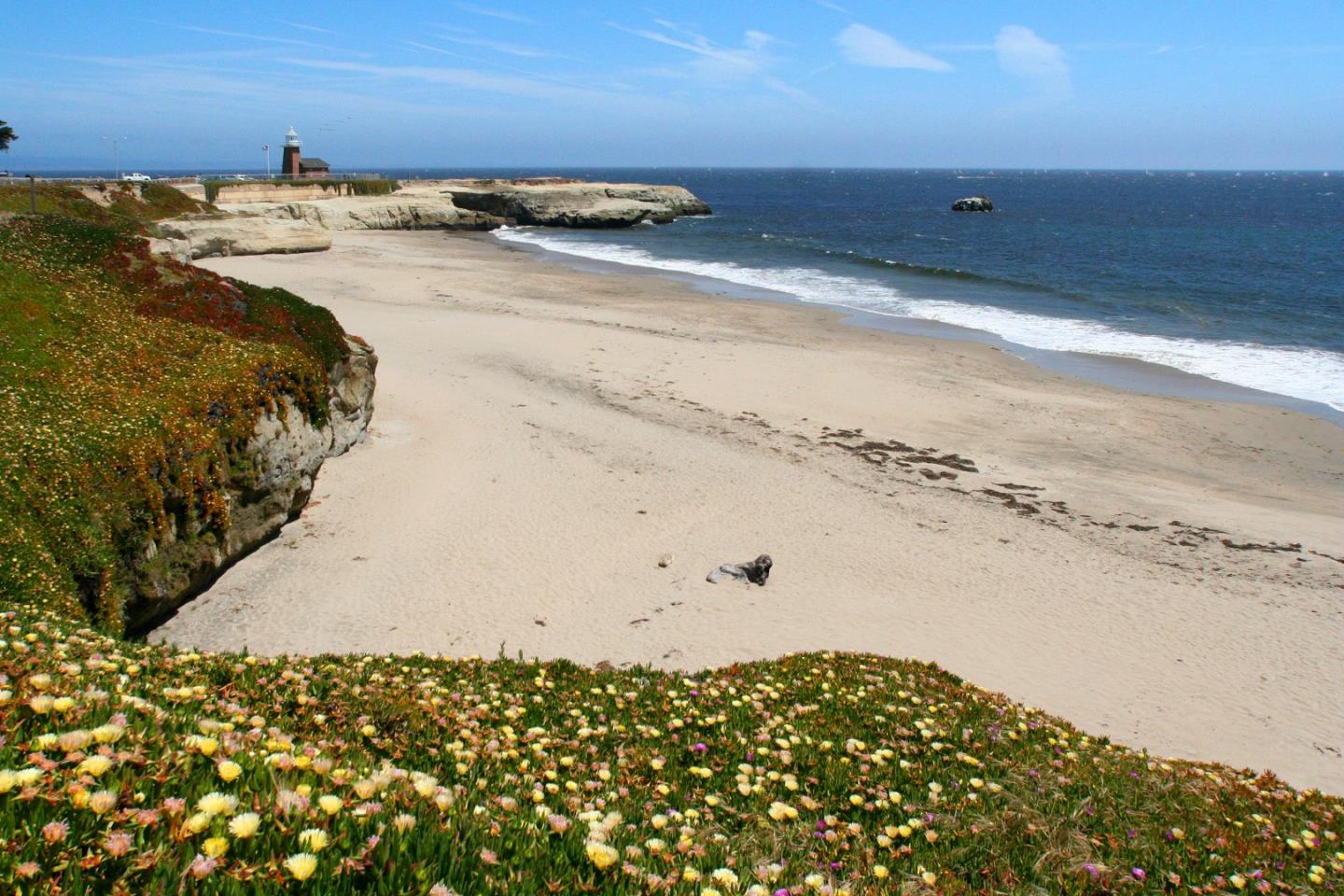 Detail Gallery Image 30 of 47 For 202 Panetta Ave #4,  Santa Cruz,  CA 95060 - 1 Beds | 2/1 Baths