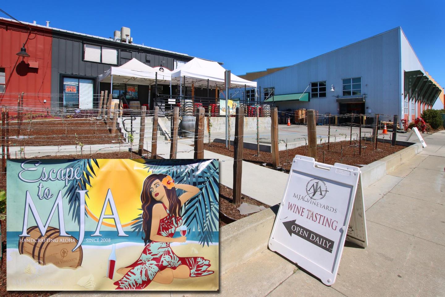 Detail Gallery Image 39 of 47 For 202 Panetta Ave #4,  Santa Cruz,  CA 95060 - 1 Beds | 2/1 Baths