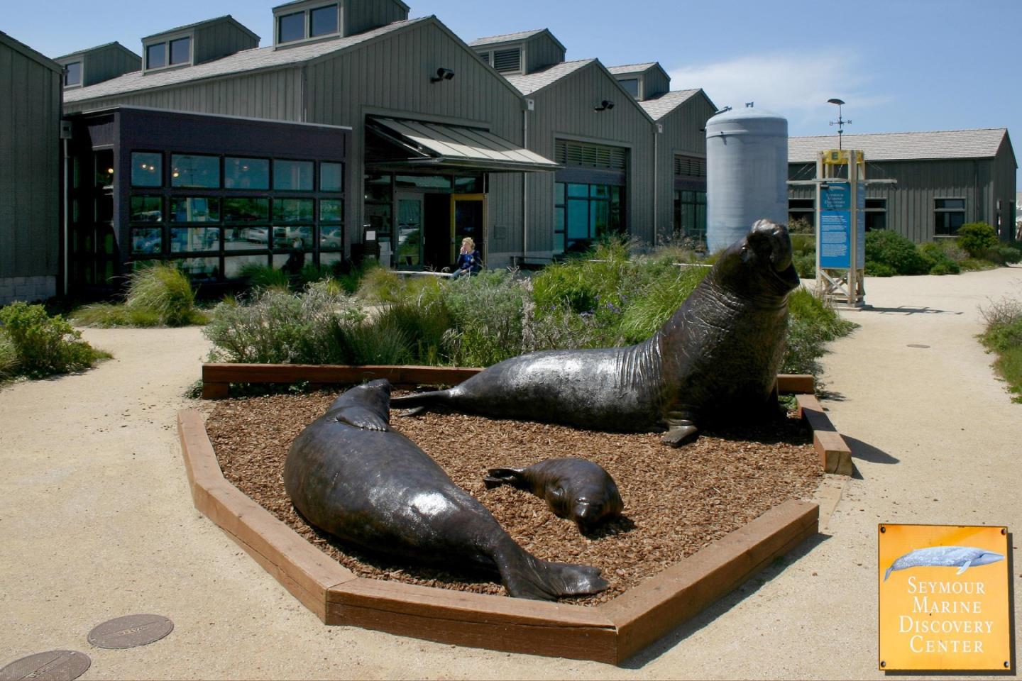 Detail Gallery Image 42 of 47 For 202 Panetta Ave #4,  Santa Cruz,  CA 95060 - 1 Beds | 2/1 Baths