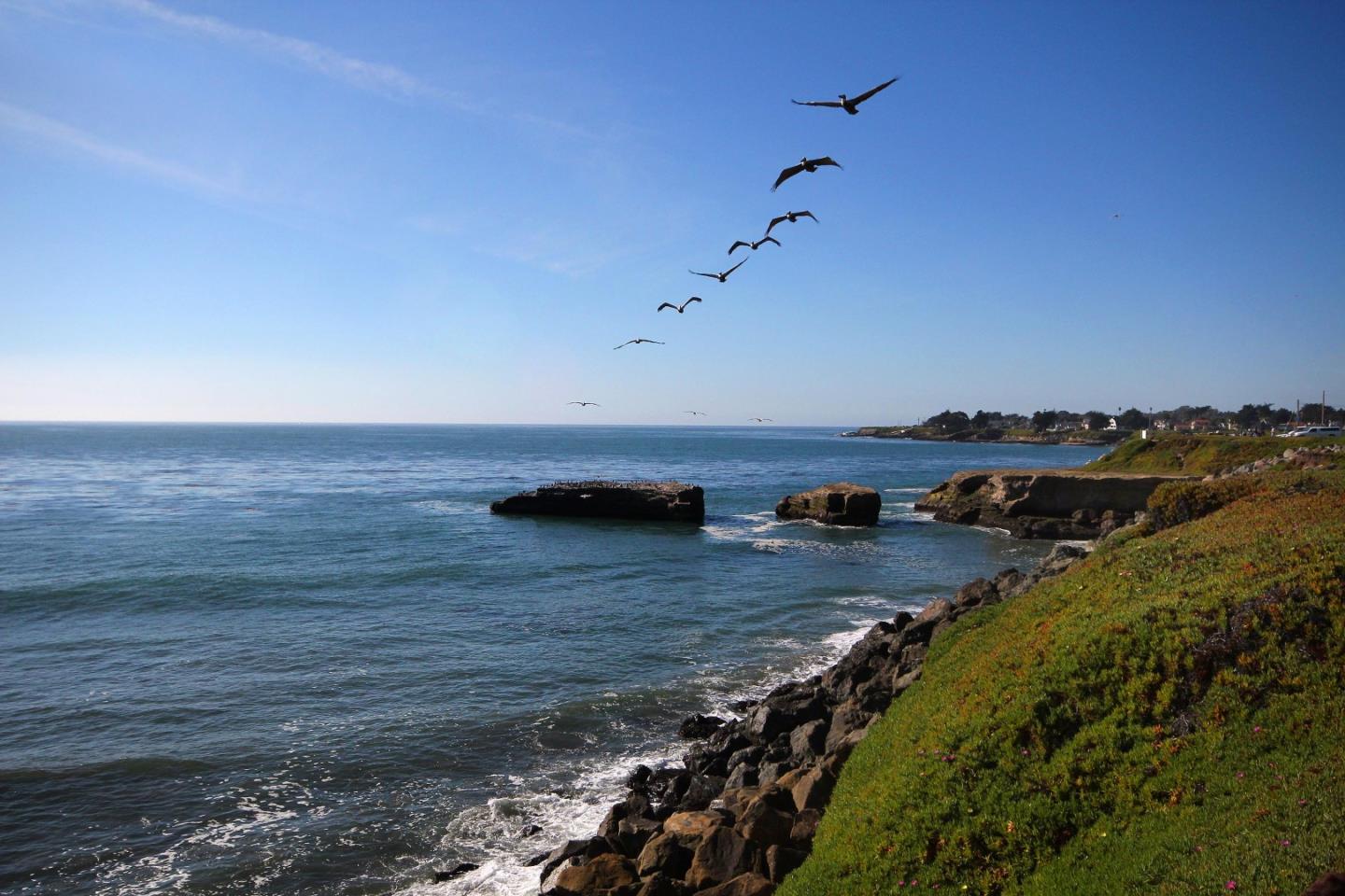 Detail Gallery Image 47 of 47 For 202 Panetta Ave #4,  Santa Cruz,  CA 95060 - 1 Beds | 2/1 Baths