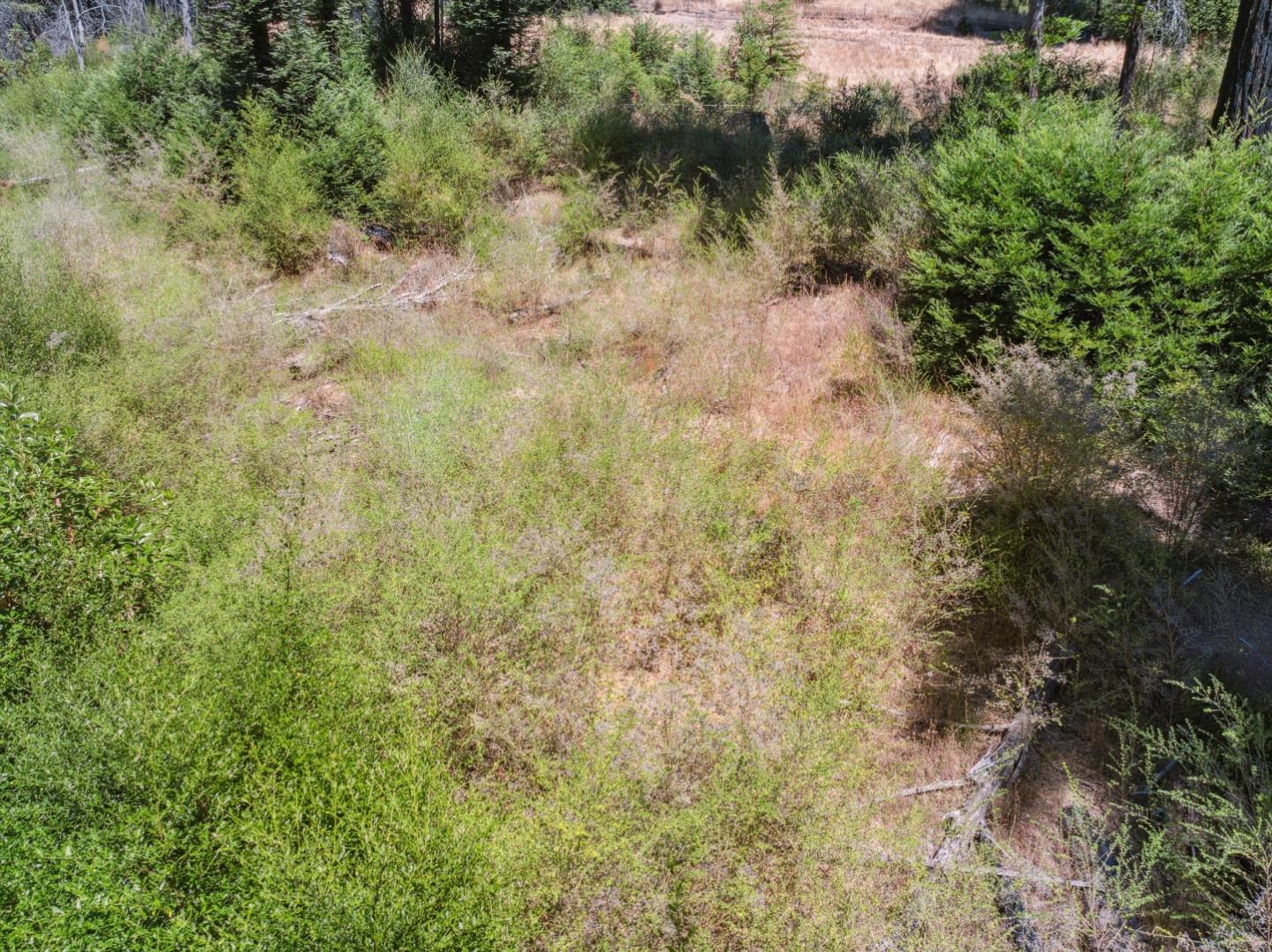 Detail Gallery Image 11 of 25 For Lot 03 & 06 Branson Rnch, Boulder Creek,  CA 95006 - – Beds | – Baths