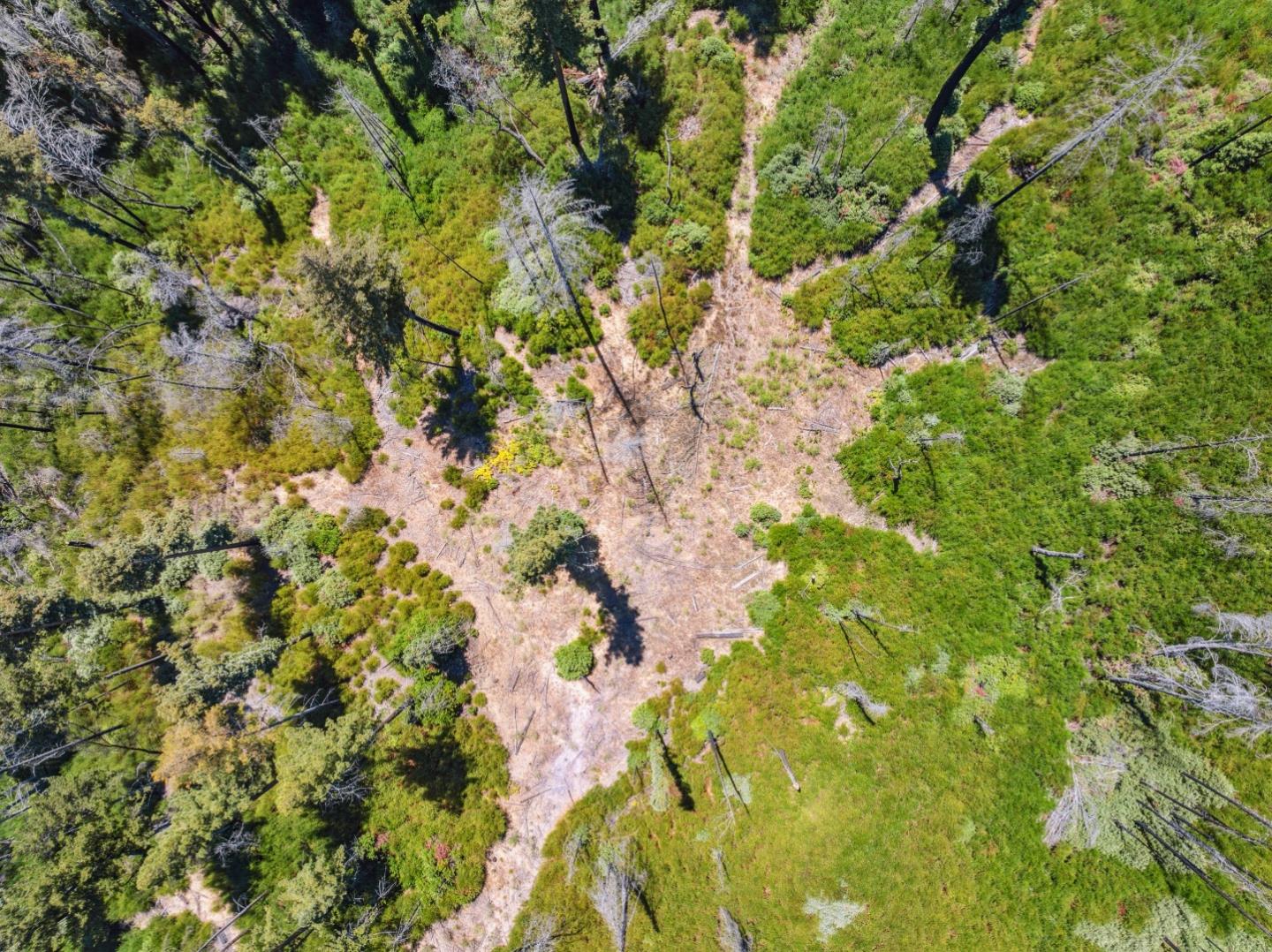Detail Gallery Image 20 of 25 For Lot 03 & 06 Branson Rnch, Boulder Creek,  CA 95006 - – Beds | – Baths