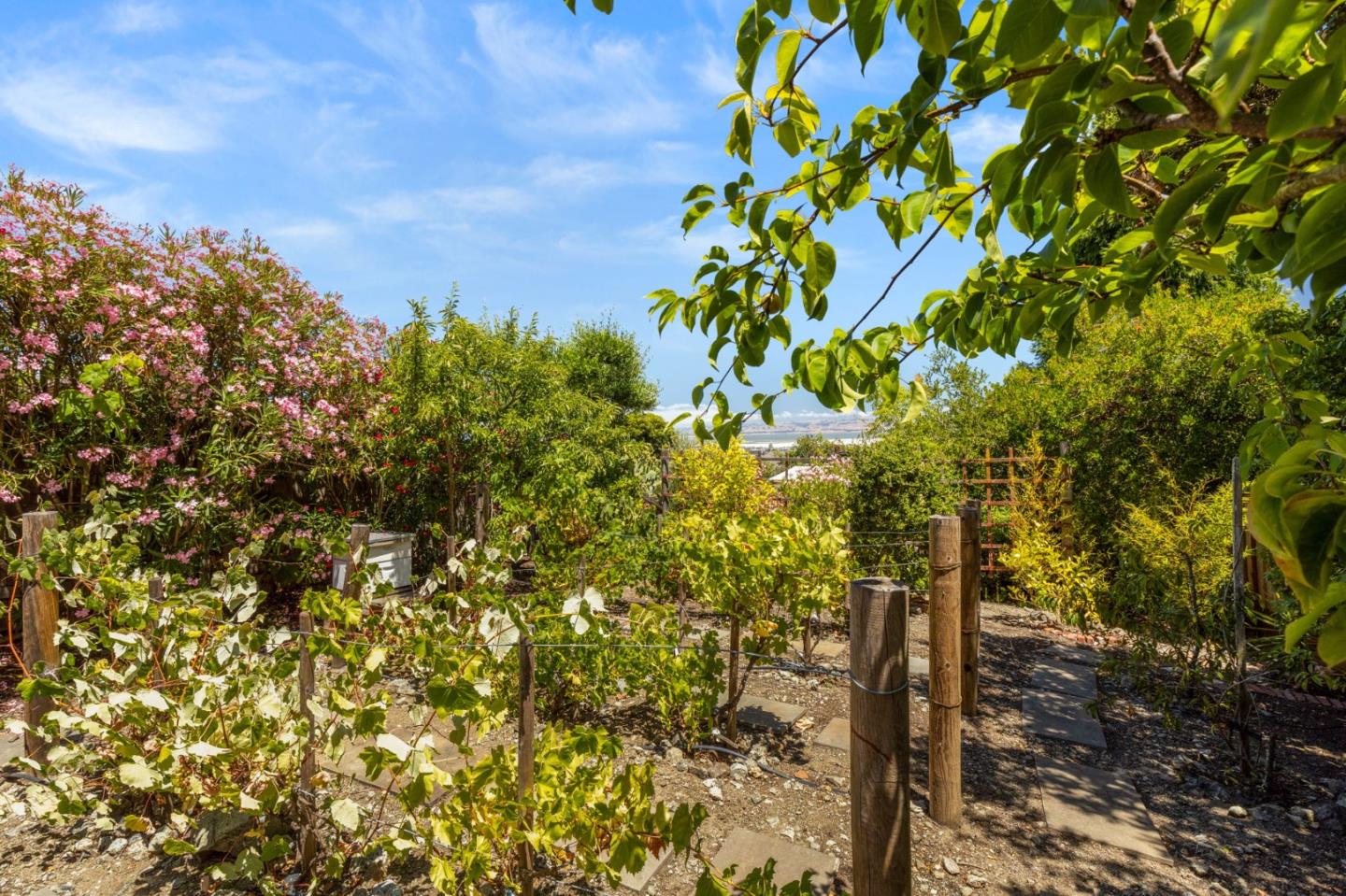Detail Gallery Image 31 of 31 For 777 Bayview Way, Redwood City,  CA 94062 - 3 Beds | 2 Baths
