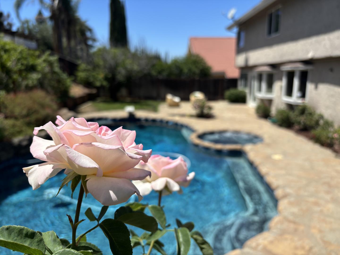 Detail Gallery Image 37 of 58 For 3484 Clover Oak Dr, San Jose,  CA 95148 - 4 Beds | 2/1 Baths