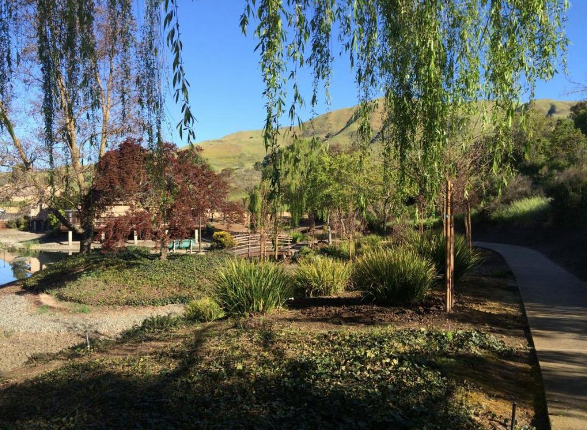 Detail Gallery Image 26 of 28 For 123 Spyglass Hill Rd, San Jose,  CA 95127 - 3 Beds | 2/1 Baths