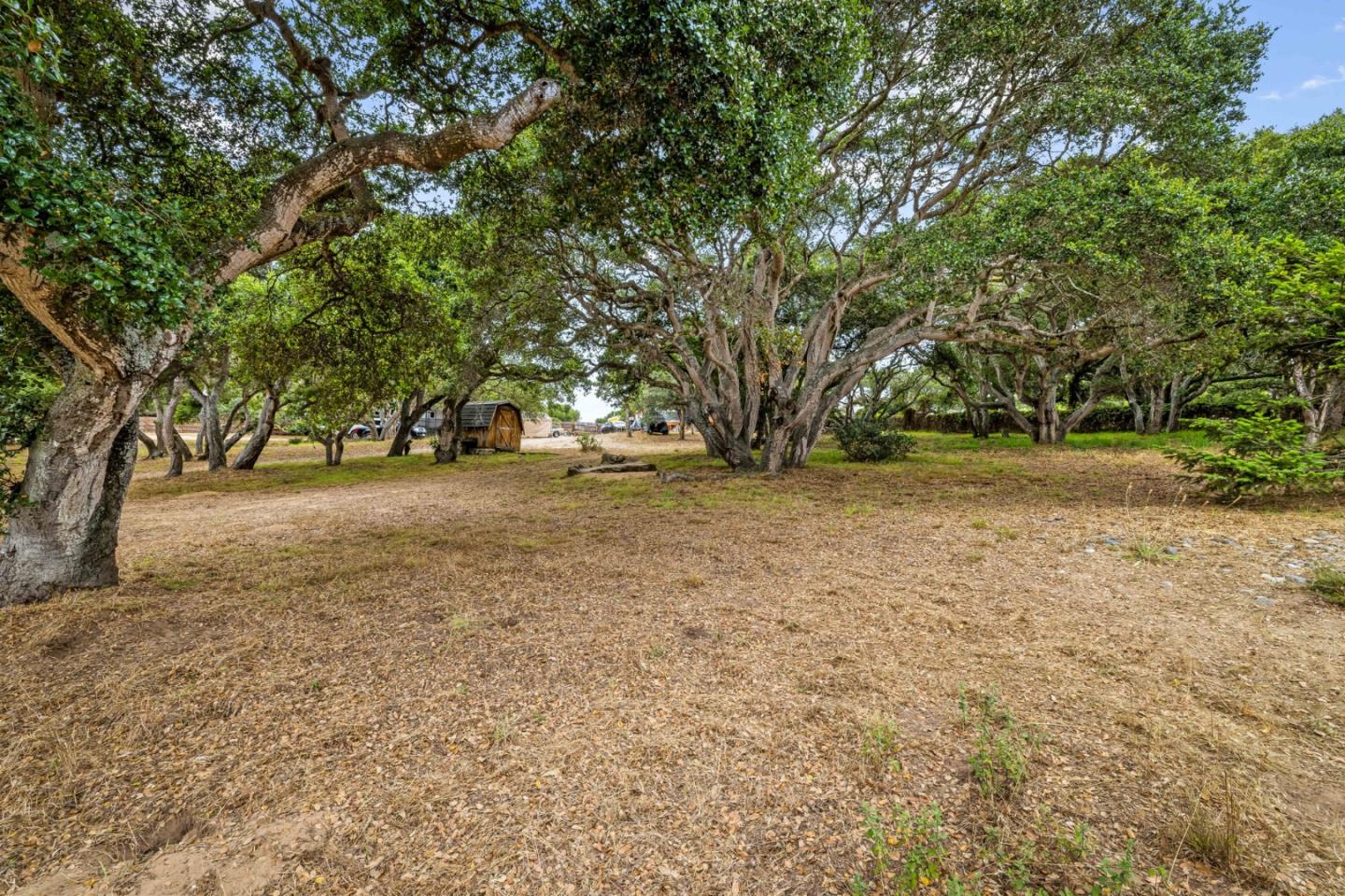 Detail Gallery Image 70 of 94 For 8697 Dyer Rd, Salinas,  CA 93907 - 3 Beds | 4 Baths