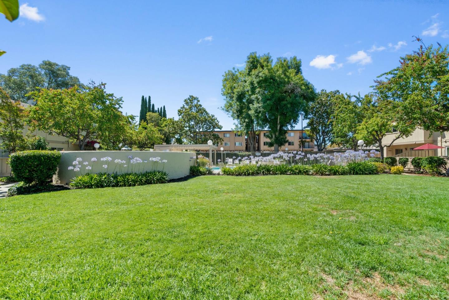 Detail Gallery Image 56 of 56 For 3179 Loma Verde Dr #2,  San Jose,  CA 95117 - 1 Beds | 1/1 Baths