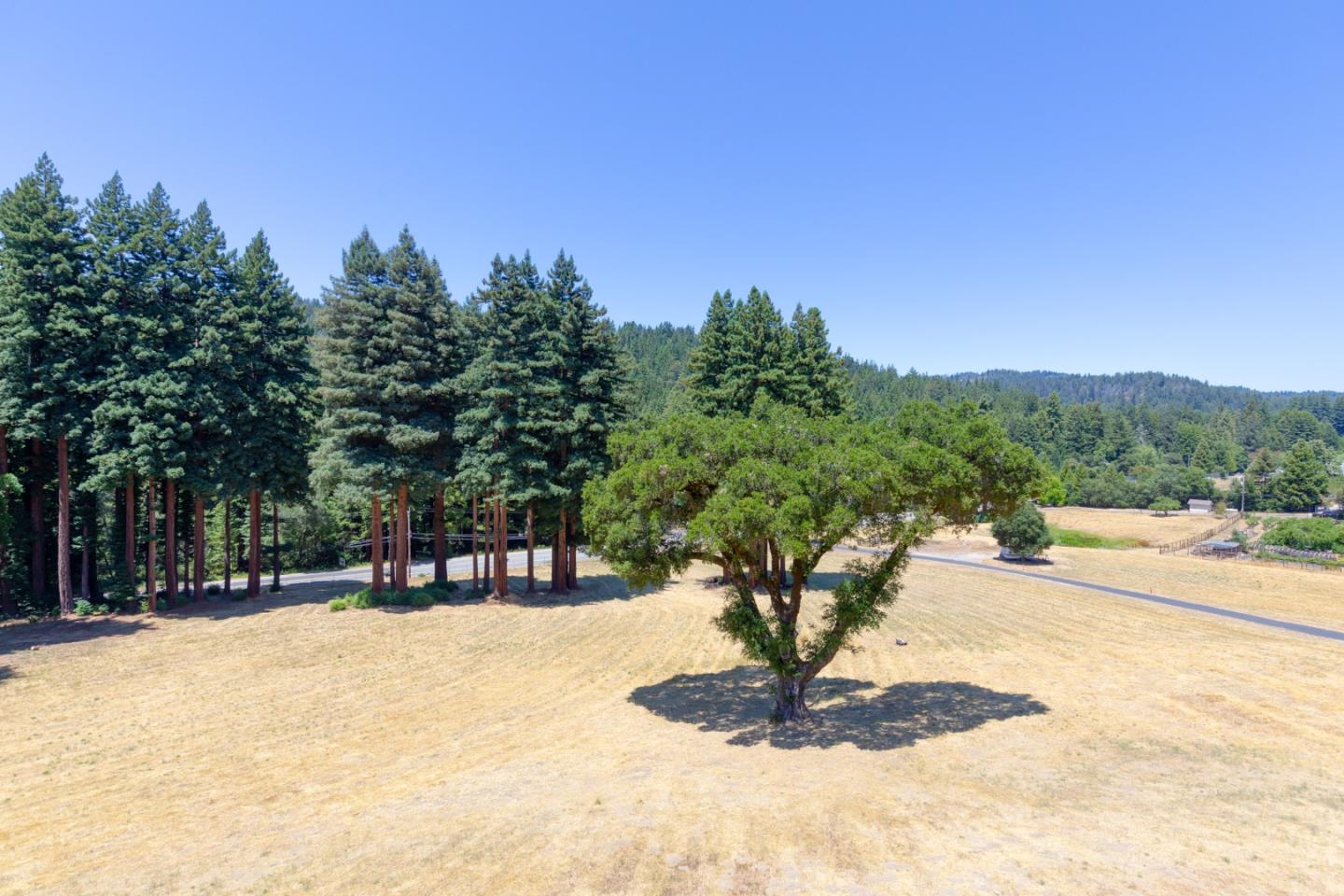 Detail Gallery Image 22 of 38 For 16400 Highway 9, Boulder Creek,  CA 95006 - 2 Beds | 2/1 Baths