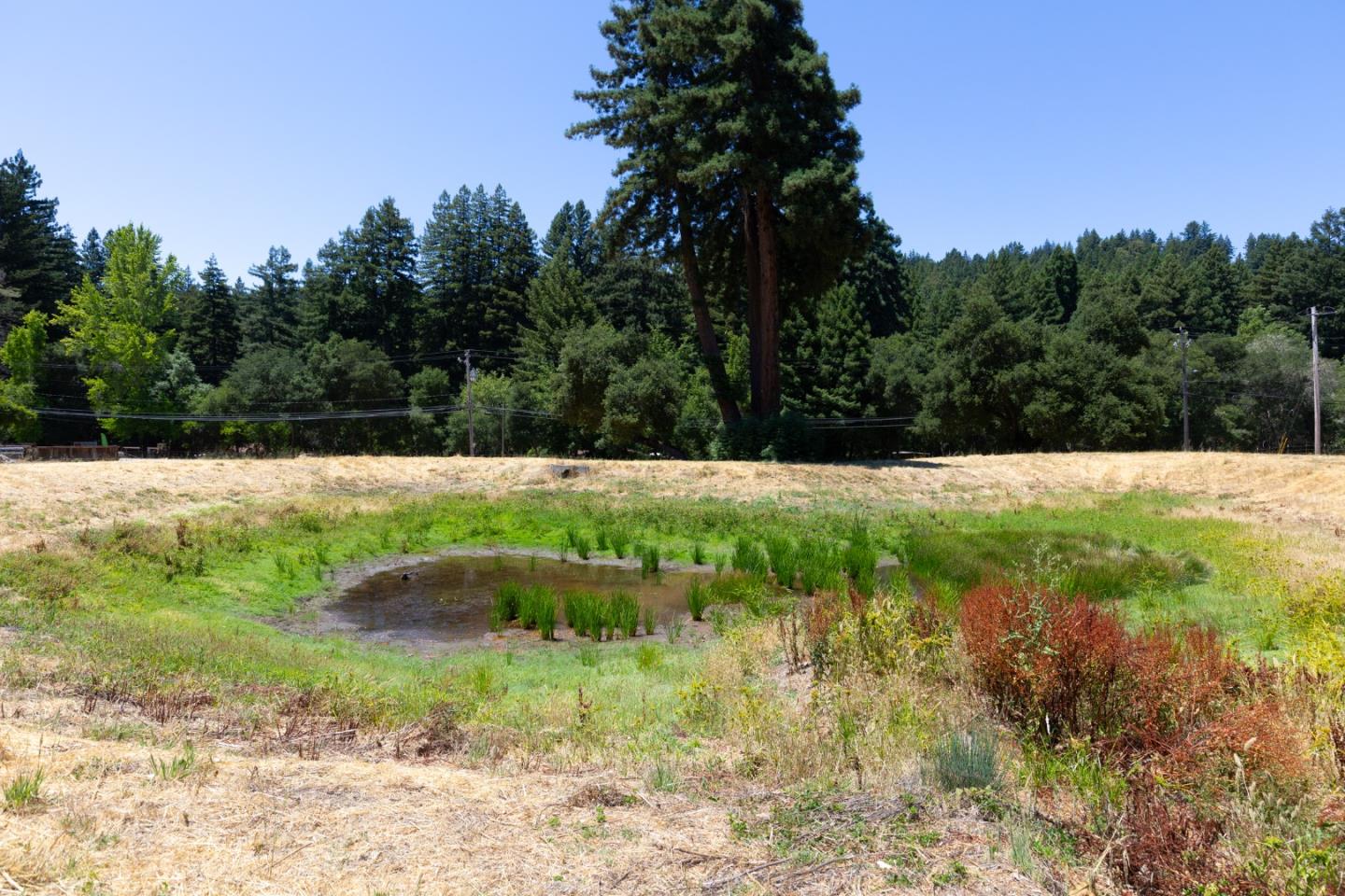 Detail Gallery Image 33 of 38 For 16400 Highway 9, Boulder Creek,  CA 95006 - 2 Beds | 2/1 Baths