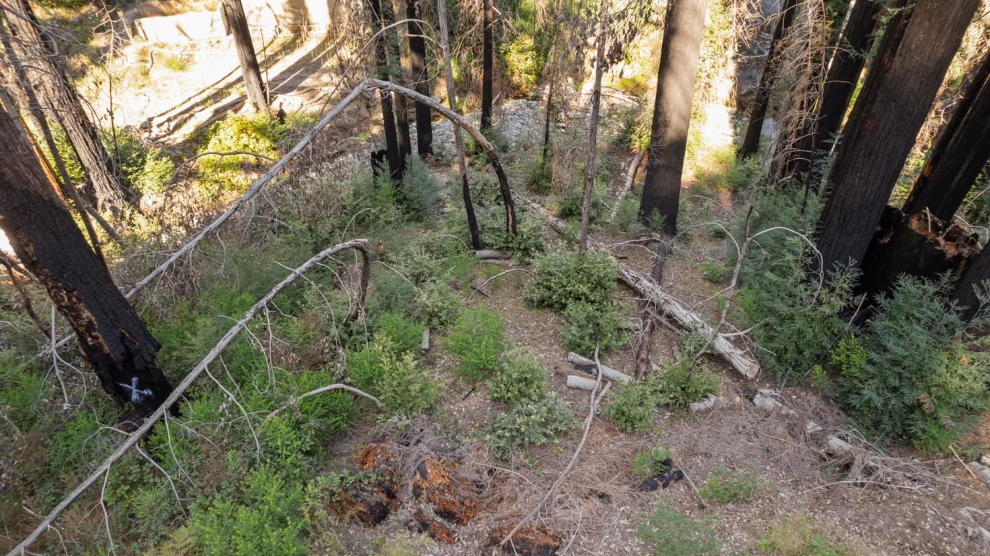 Detail Gallery Image 4 of 8 For Lot 04 Boulder Brook Dr, Boulder Creek,  CA 95006 - – Beds | – Baths