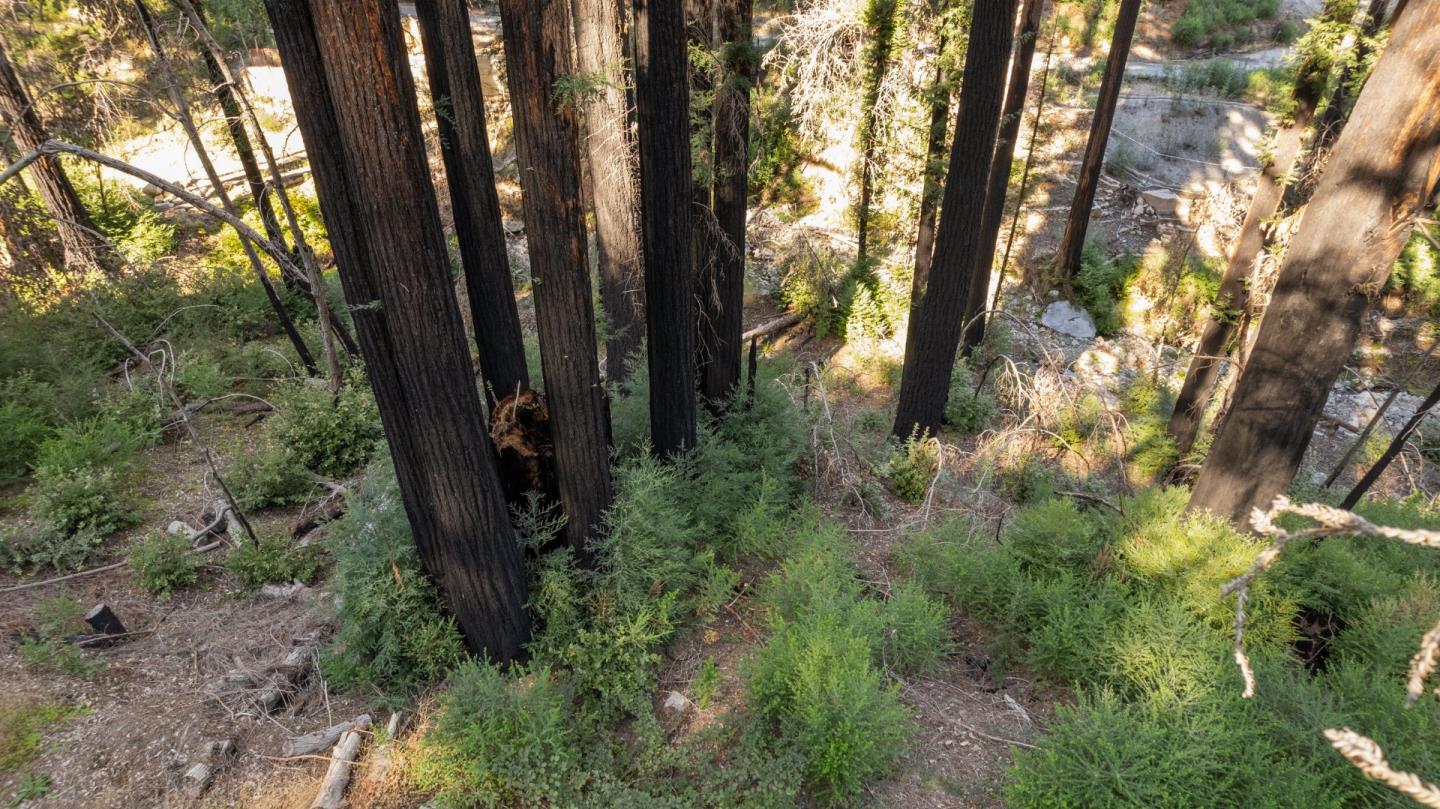 Detail Gallery Image 6 of 8 For Lot 04 Boulder Brook Dr, Boulder Creek,  CA 95006 - – Beds | – Baths