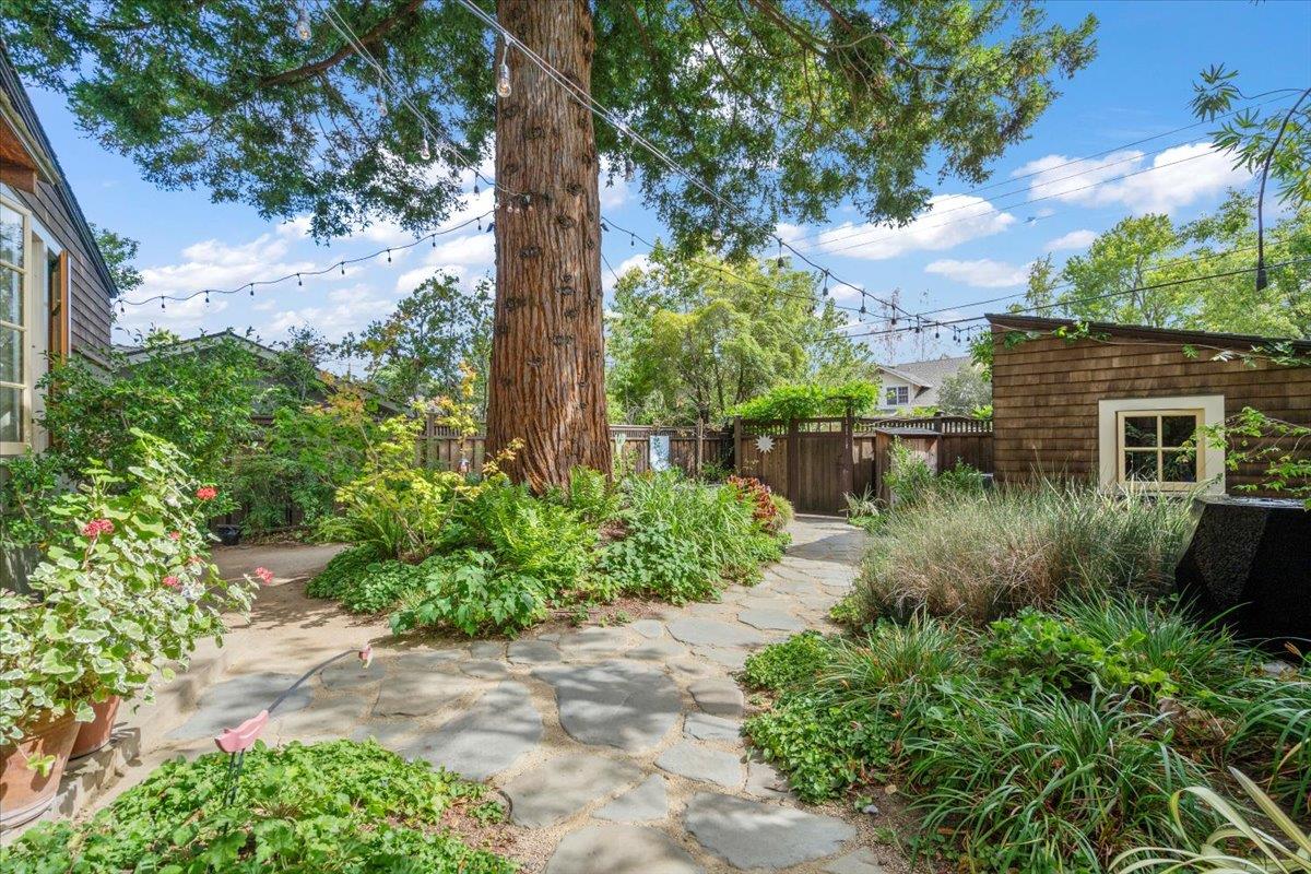 Detail Gallery Image 37 of 45 For 705 University Ave, Los Altos,  CA 94022 - 3 Beds | 3/1 Baths
