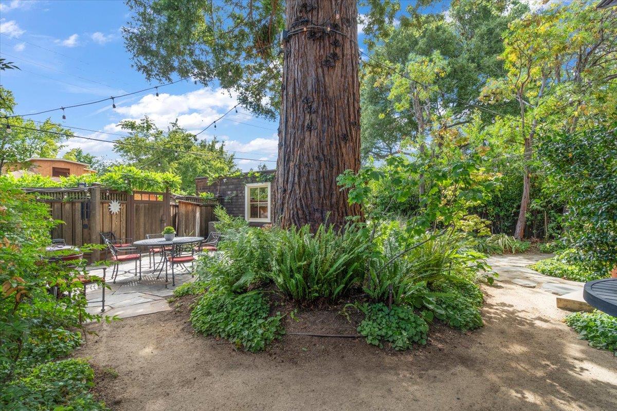 Detail Gallery Image 41 of 45 For 705 University Ave, Los Altos,  CA 94022 - 3 Beds | 3/1 Baths