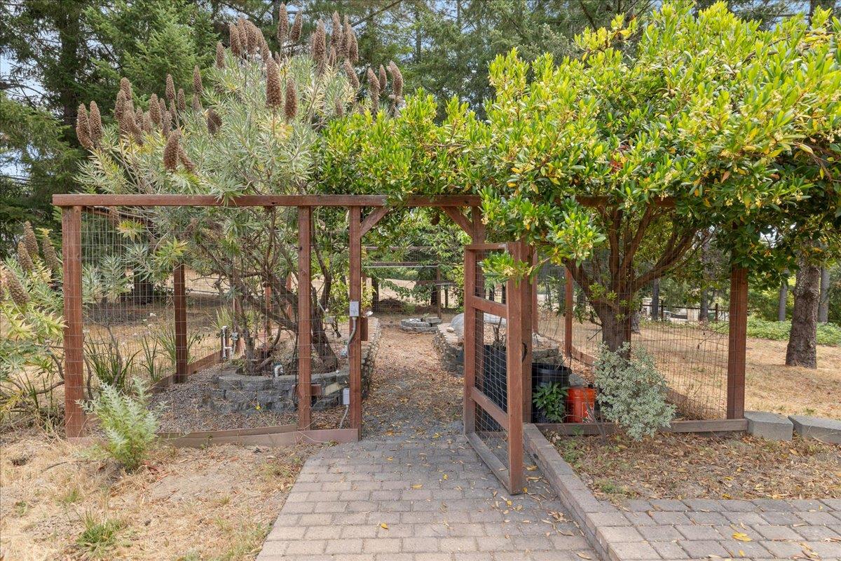Detail Gallery Image 64 of 84 For 23435 Summit Rd, Los Gatos,  CA 95033 - 5 Beds | 3/1 Baths