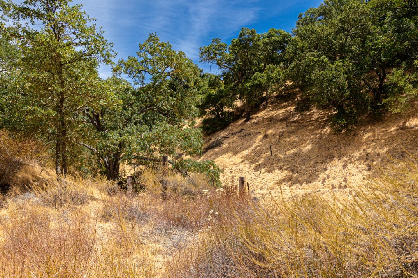 Detail Gallery Image 35 of 58 For 0 Oak Glen Ave, Morgan Hill,  CA 95037 - – Beds | – Baths