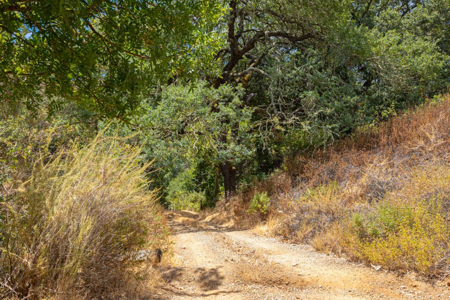 Detail Gallery Image 36 of 58 For 0 Oak Glen Ave, Morgan Hill,  CA 95037 - – Beds | – Baths