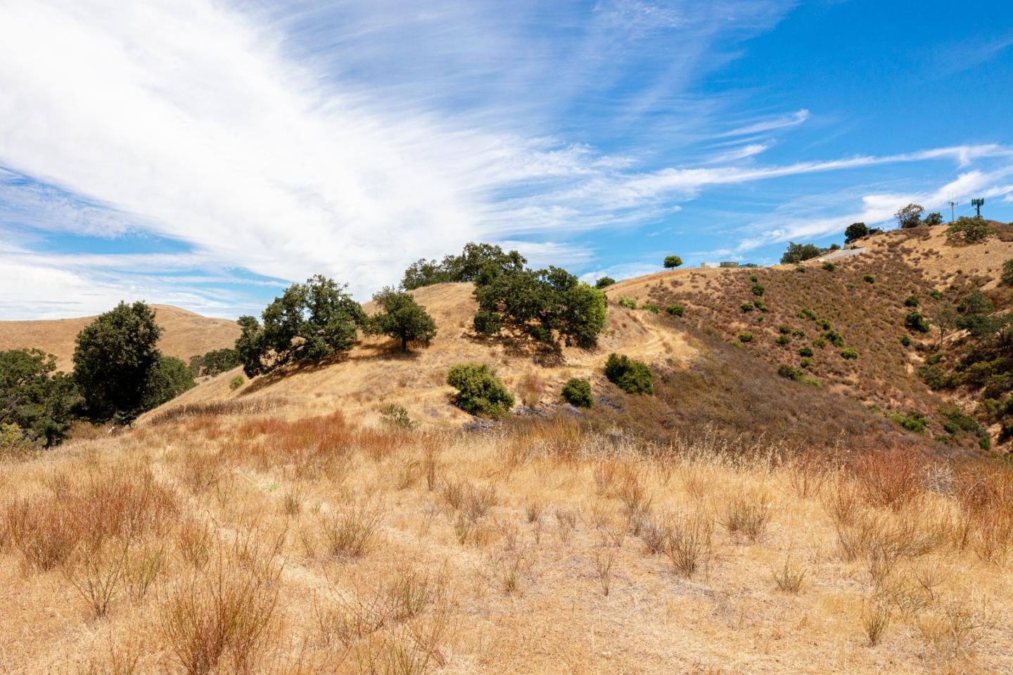 Detail Gallery Image 46 of 58 For 0 Oak Glen Ave, Morgan Hill,  CA 95037 - – Beds | – Baths