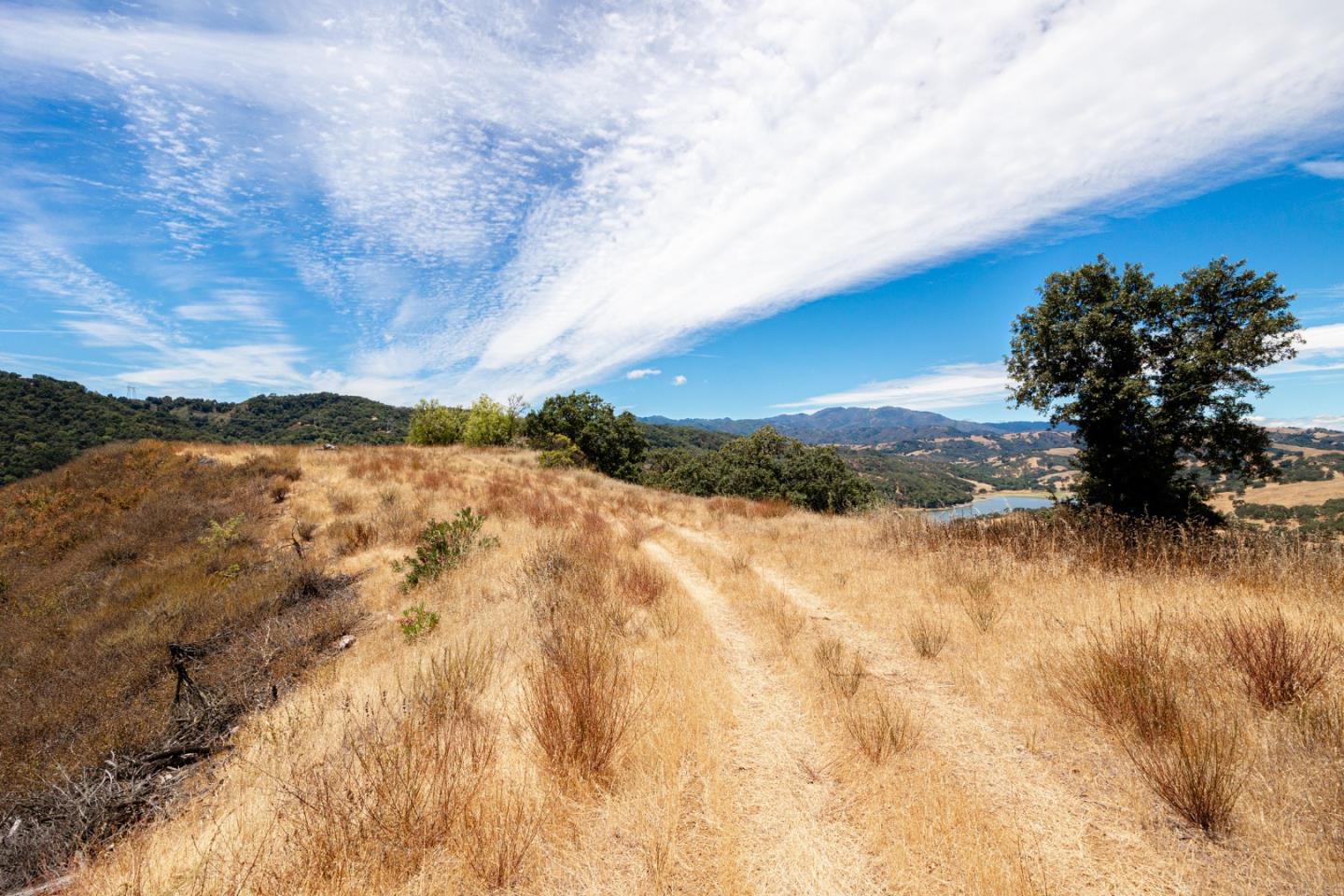 Detail Gallery Image 47 of 58 For 0 Oak Glen Ave, Morgan Hill,  CA 95037 - – Beds | – Baths