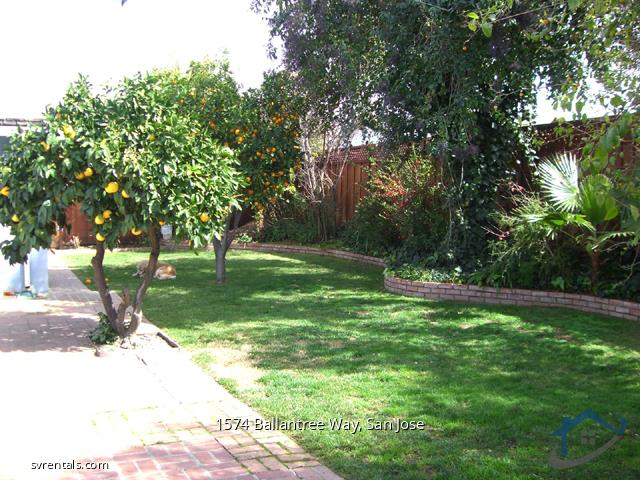 Detail Gallery Image 2 of 16 For 1574 Ballantree Way #2,  San Jose,  CA 95118 - 1 Beds | 1 Baths