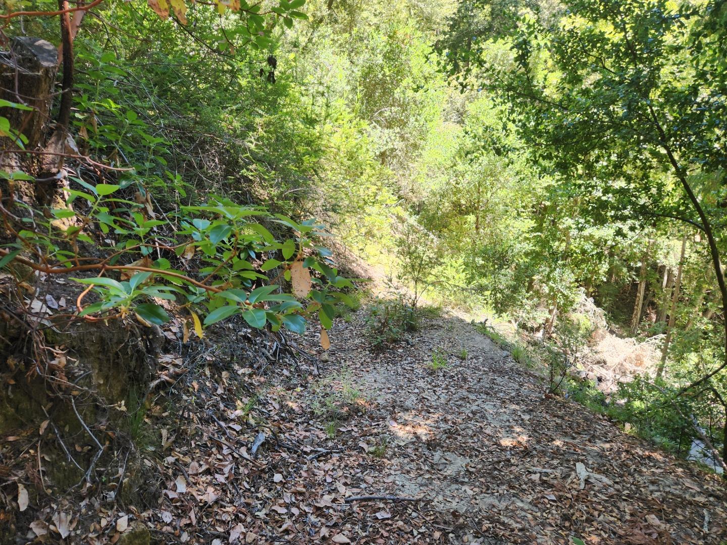 Detail Gallery Image 6 of 11 For 510 East Rd, Boulder Creek,  CA 95006 - – Beds | – Baths