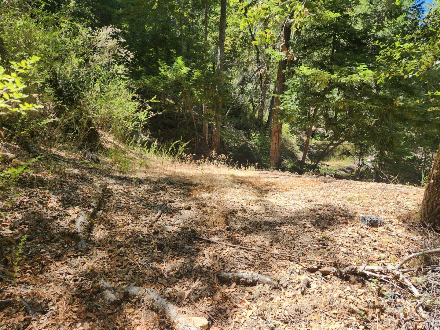 Detail Gallery Image 8 of 11 For 510 East Rd, Boulder Creek,  CA 95006 - – Beds | – Baths