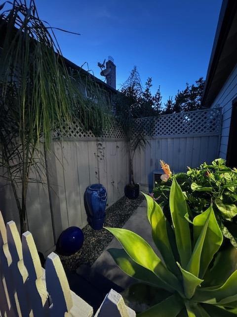 Detail Gallery Image 15 of 21 For 223 Shelley Ave, Campbell,  CA 95008 - 3 Beds | 2/1 Baths