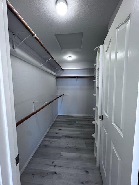 Detail Gallery Image 18 of 21 For 223 Shelley Ave, Campbell,  CA 95008 - 3 Beds | 2/1 Baths
