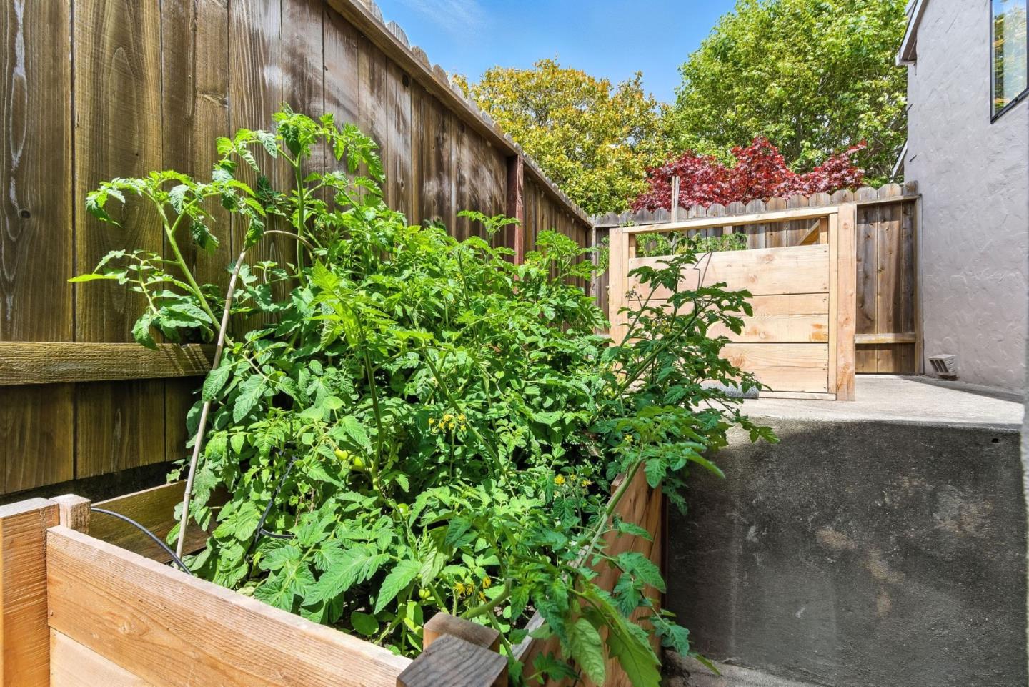 Detail Gallery Image 35 of 37 For 535 Acacia Ave, San Bruno,  CA 94066 - 3 Beds | 2 Baths