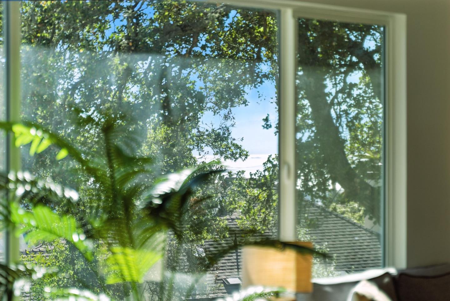 Detail Gallery Image 34 of 47 For 1951 San Antonio Ave, Berkeley,  CA 94707 - 3 Beds | 2 Baths