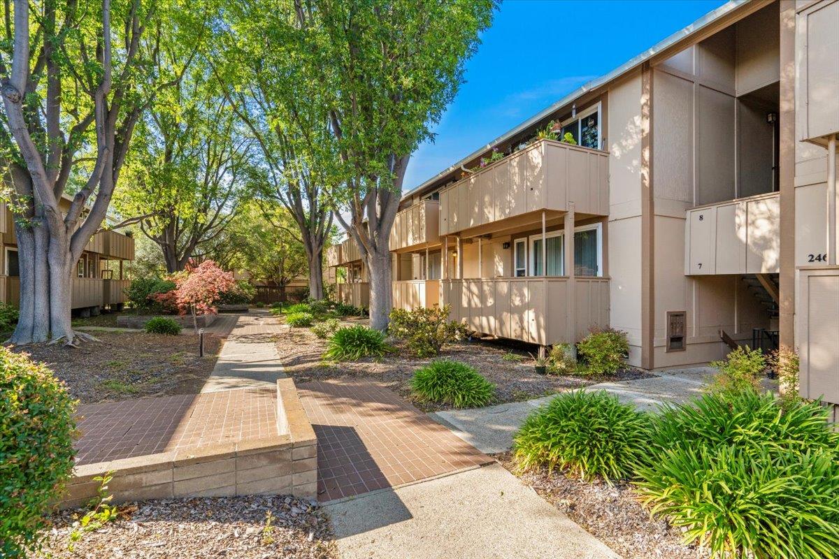 Detail Gallery Image 37 of 45 For 2466 W Bayshore Rd #5,  Palo Alto,  CA 94303 - 2 Beds | 1 Baths