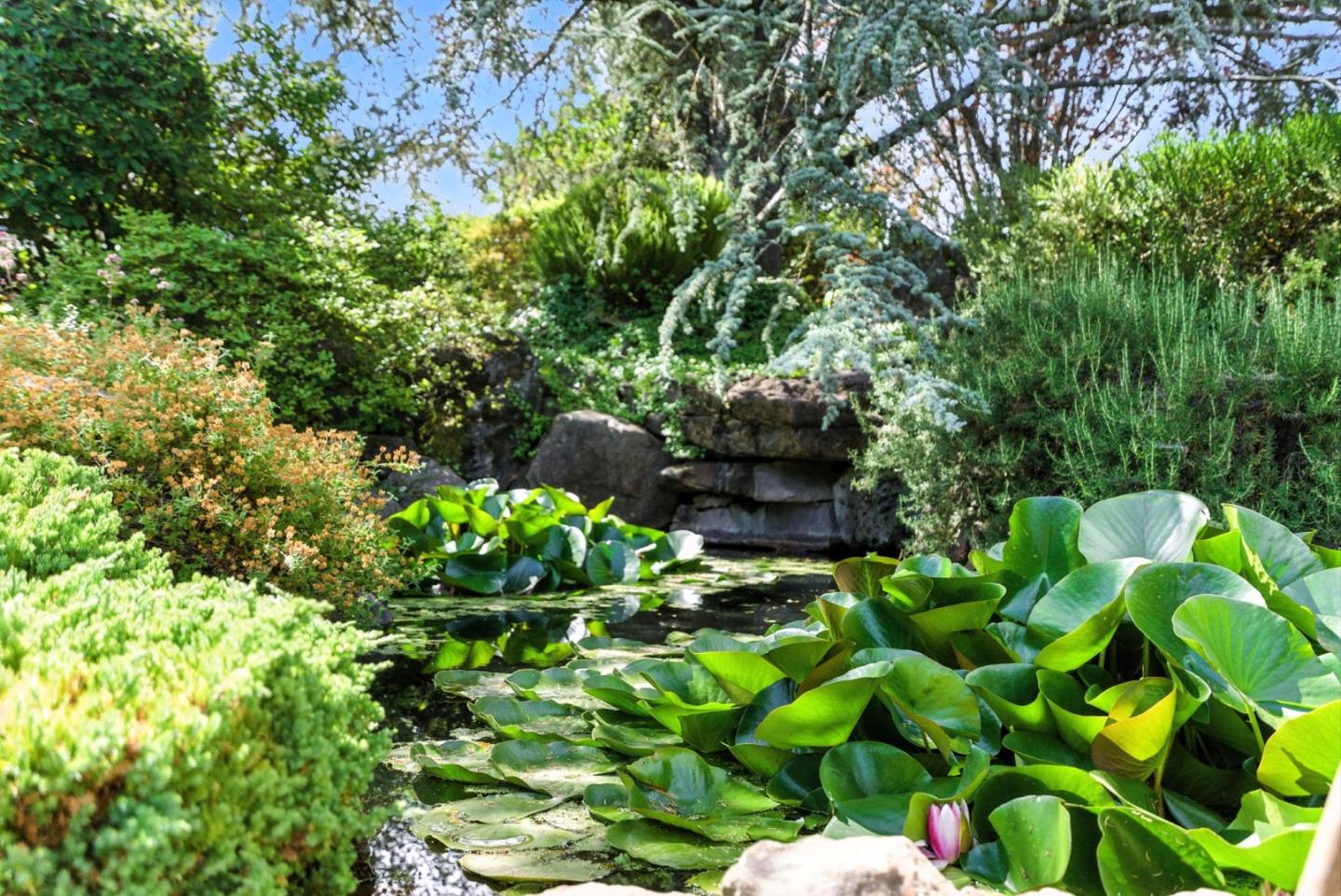 Detail Gallery Image 44 of 52 For 24616 Miller Hill Rd, Los Gatos,  CA 95033 - 3 Beds | 2/1 Baths