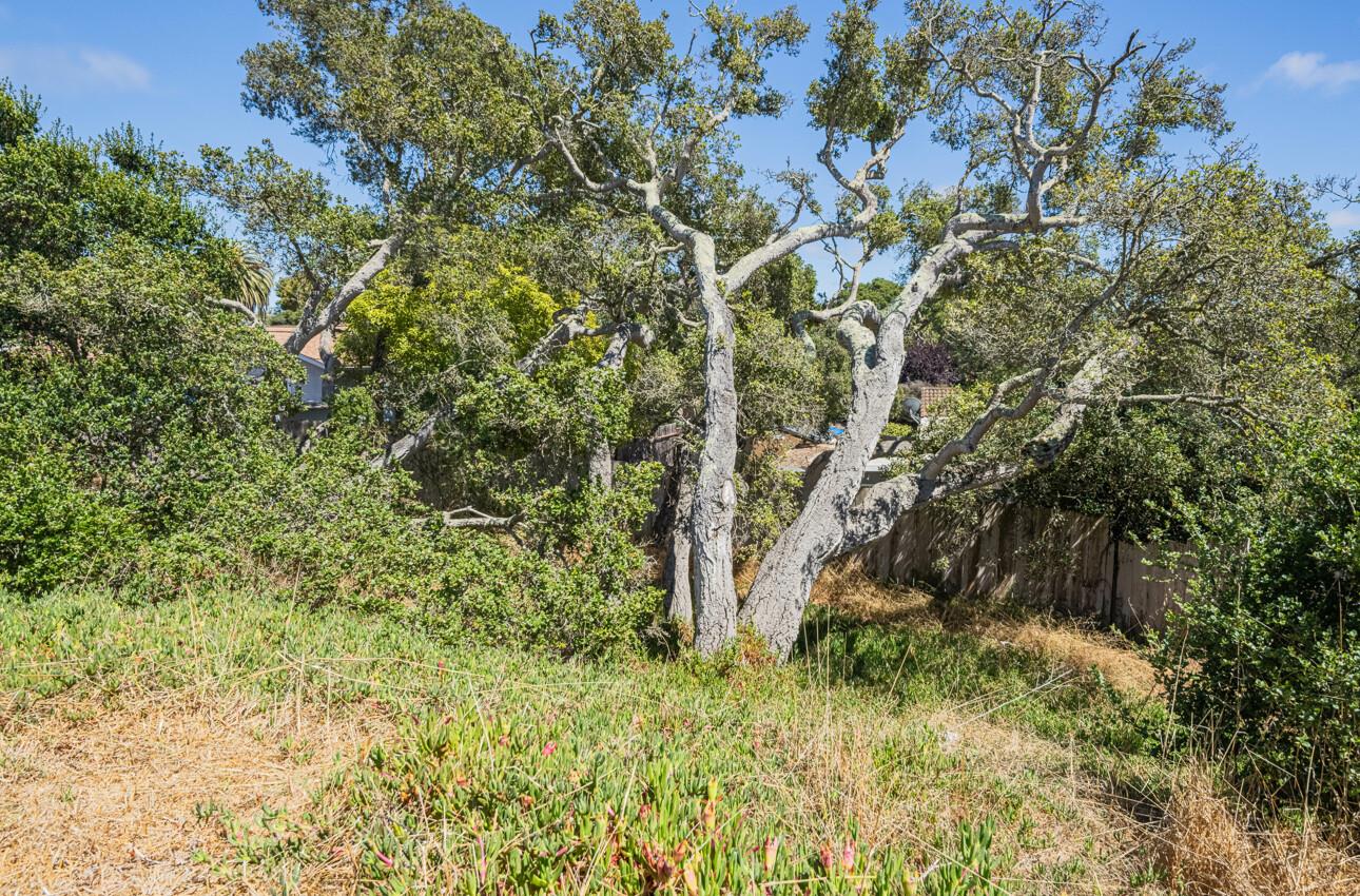 Detail Gallery Image 28 of 31 For 9375 Bur Oak Pl, Salinas,  CA 93907 - 3 Beds | 2 Baths