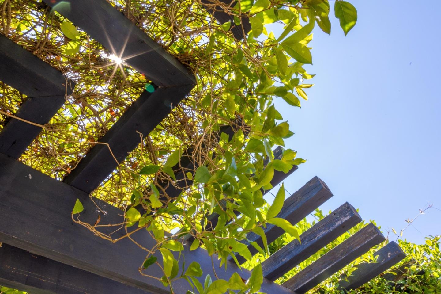 Detail Gallery Image 57 of 82 For 256 Marchmont Ct, Los Gatos,  CA 95032 - 5 Beds | 3/1 Baths