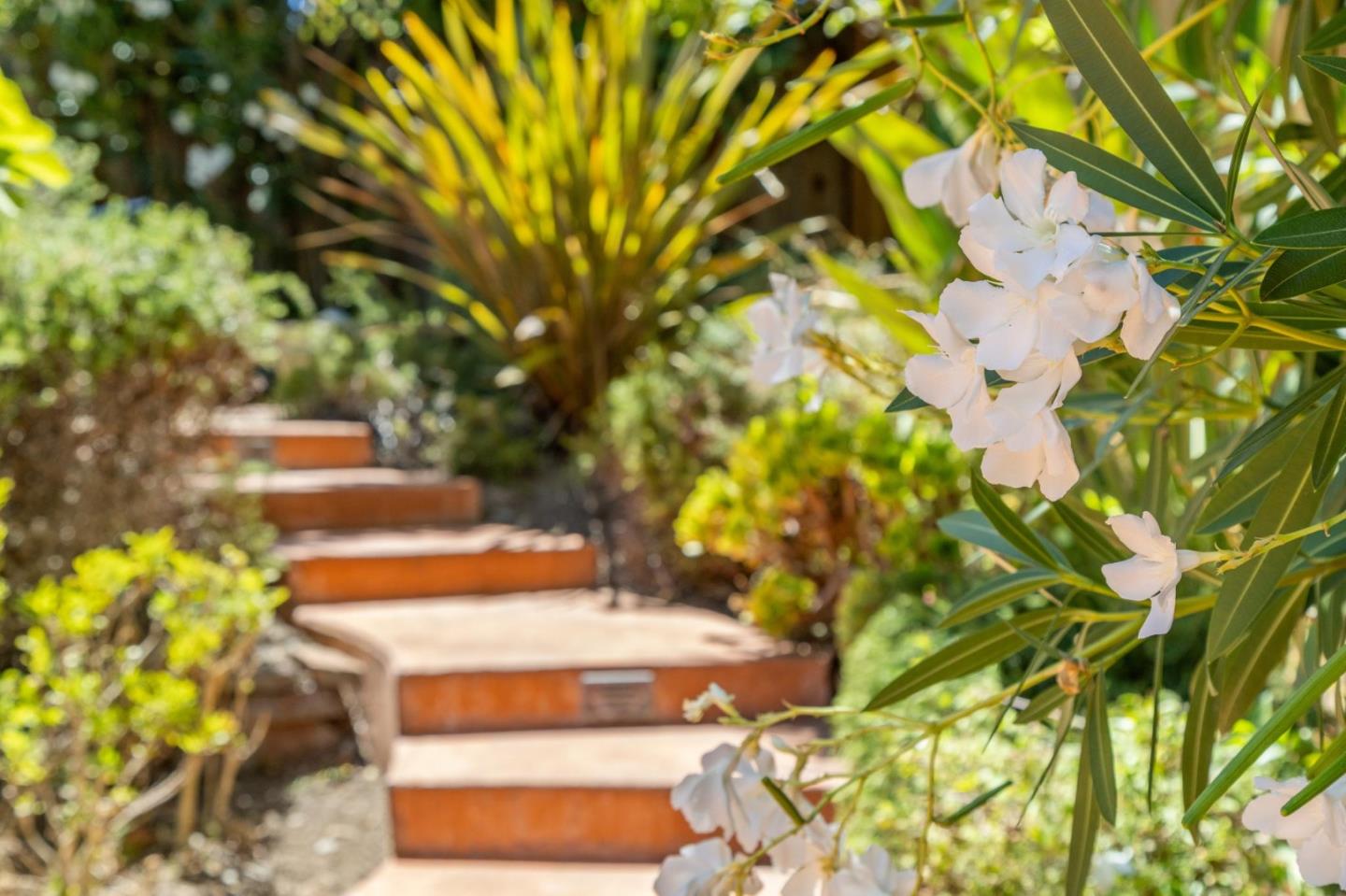 Detail Gallery Image 63 of 82 For 256 Marchmont Ct, Los Gatos,  CA 95032 - 5 Beds | 3/1 Baths