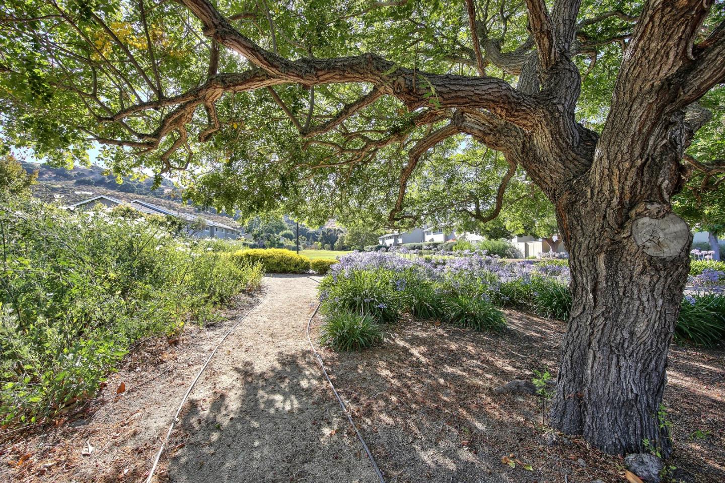 Detail Gallery Image 18 of 18 For 19115 Creekside Pl, Salinas,  CA 93908 - 3 Beds | 2/1 Baths