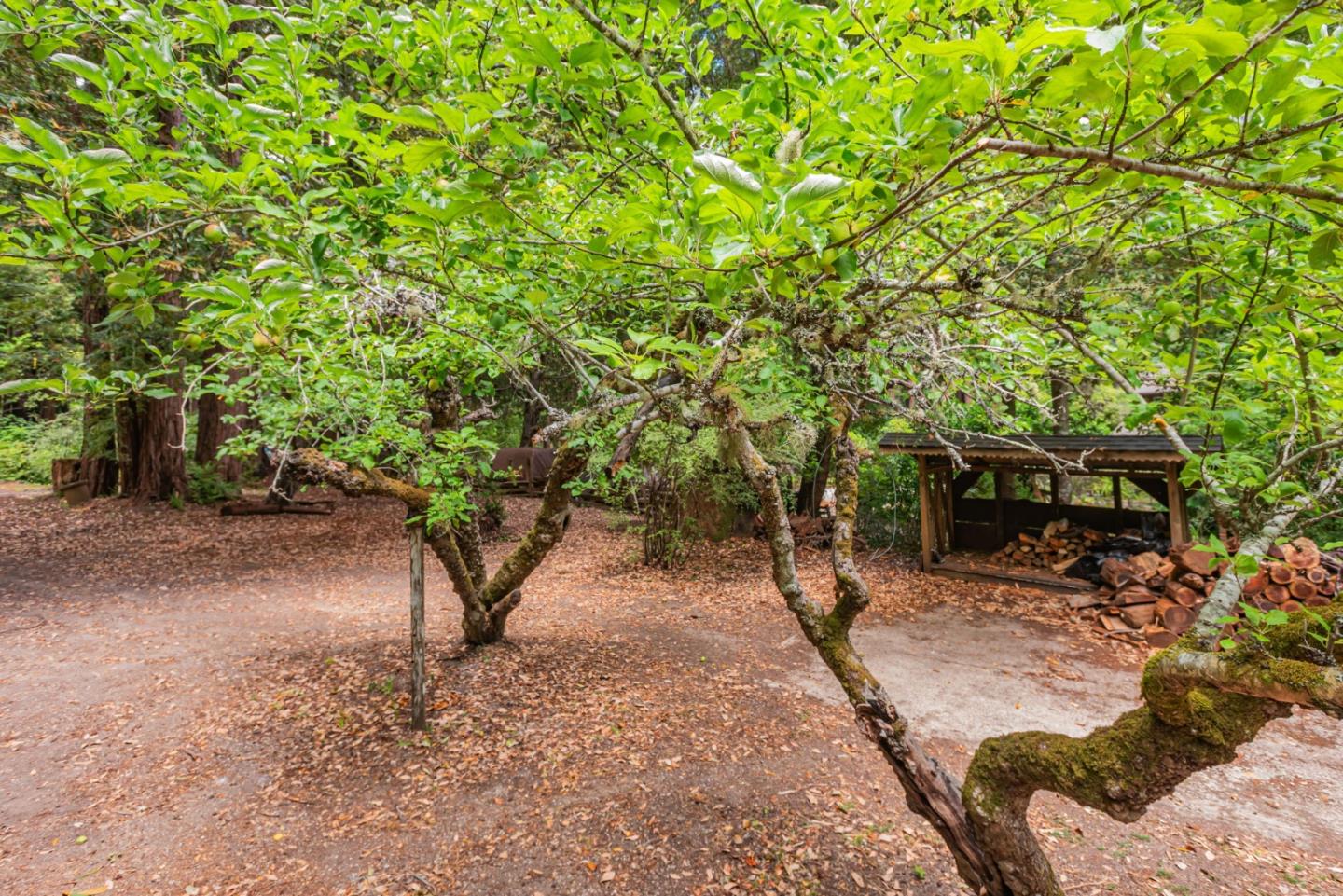 Detail Gallery Image 36 of 36 For 170 Madrone Ave, Pescadero,  CA 94060 - 3 Beds | 2 Baths