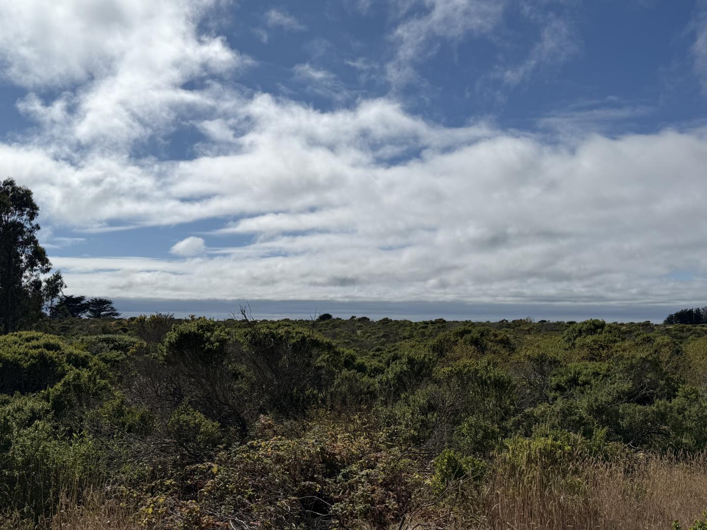 17060 Jupiter Dr., Twain Harte, CA, 95383